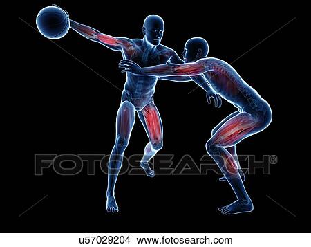 Stock Illustration - Two basketball players, artwork. Fotosearch