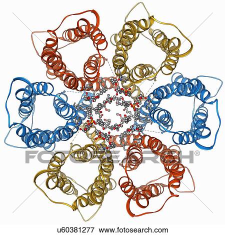 Urea channel molecule View Large Illustration Stock Illustration - Urea channel molecule. Fotosearch