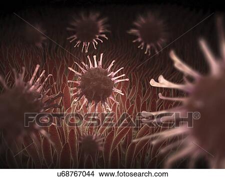 Viral infection, conceptual artwork View Large Illustration Stock Illustration - Viral infection, conceptual artwork. Fotosearch