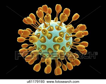Virus, artwork View Large Illustration Drawing - Virus, artwork. Fotosearch