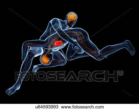 Drawing - Wrestlers, artwork. Fotosearch