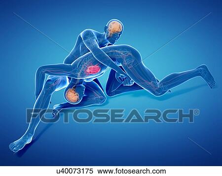 Wrestlers, artwork View Large Illustration Stock Illustration - Wrestlers, artwork. Fotosearch