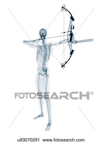 Archer, artwork View Large Illustration Clip Art - Archer, artwork. Fotosearch