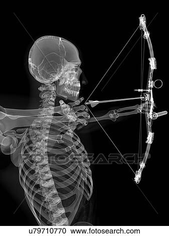 Clipart - Archer, artwork. Fotosearch