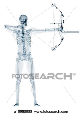 Archer, artwork View Large Illustration Stock Illustration - Archer, artwork. Fotosearch