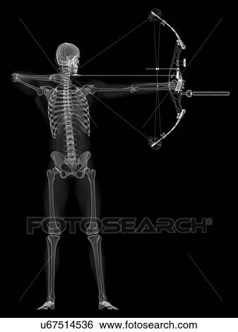 Stock Illustration - Archer, artwork. Fotosearch