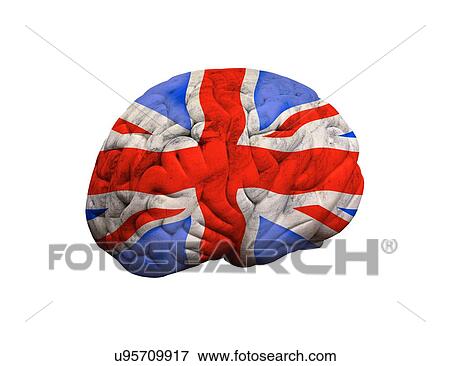 British brain, conceptual artwork View Large Illustration Stock Illustration - British brain, conceptual artwork. Fotosearch