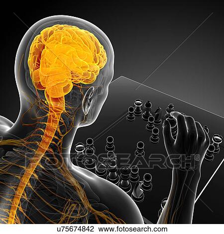 Chess player, artwork View Large Illustration Drawing - Chess player, artwork. Fotosearch