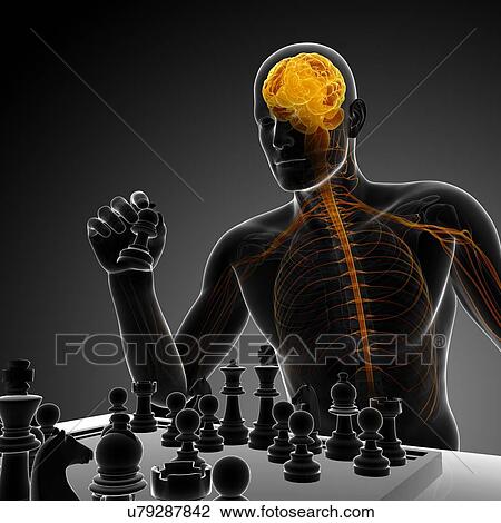 Chess player, artwork View Large Illustration Drawing - Chess player, artwork. Fotosearch