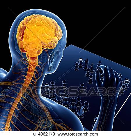 Chess player, artwork View Large Illustration Stock Illustration - Chess player, artwork. Fotosearch