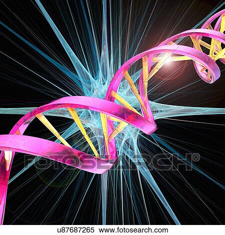 Stock Illustration - DNA molecule, artwork. Fotosearch