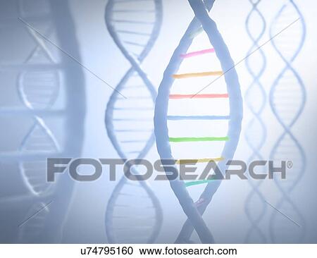 Clipart - DNA molecules, artwork. Fotosearch