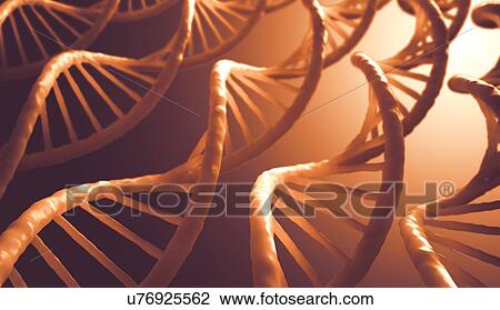DNA molecules, artwork View Large Illustration Drawing - DNA molecules, artwork. Fotosearch