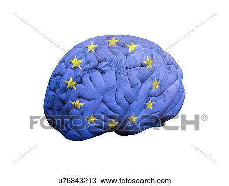 European brain, conceptual artwork View Large Illustration Drawing - European brain, conceptual artwork. Fotosearch