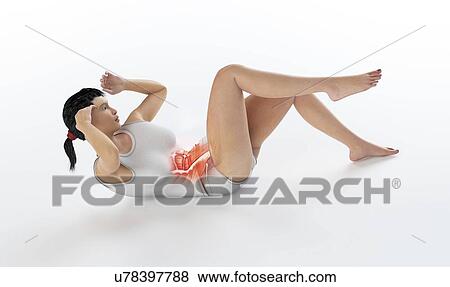 Stock Illustration - Female anatomy, artwork. Fotosearch