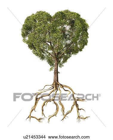 Heart-shaped tree, artwork View Large Illustration Stock Illustration - Heart-shaped tree, artwork. Fotosearch