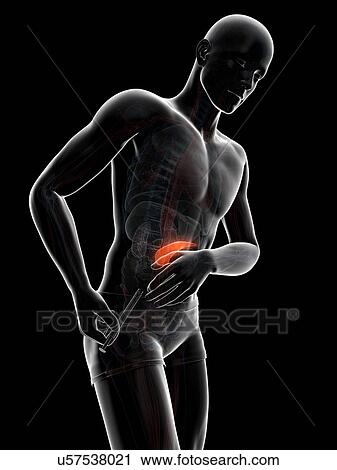 Insulin injection, artwork View Large Illustration Clip Art - Insulin injection, artwork. Fotosearch