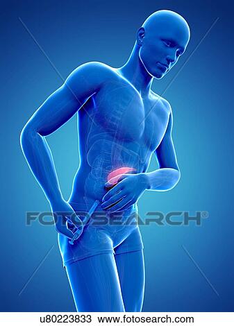 Insulin injection, artwork View Large Illustration Drawing - Insulin injection, artwork. Fotosearch