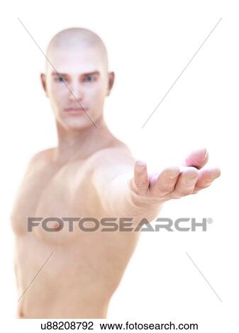Male anatomy, artwork View Large Illustration Drawing - Male anatomy, artwork. Fotosearch