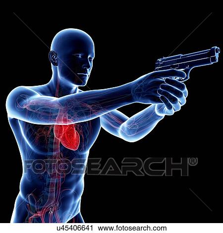 Clip Art - Male cardiovascular system, artwork. Fotosearch