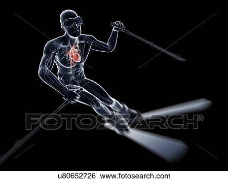 Male cardiovascular system, artwork View Large Illustration Stock Illustration - Male cardiovascular system, artwork. Fotosearch