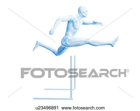 Male skeleton, artwork View Large Illustration Clip Art - Male skeleton, artwork. Fotosearch