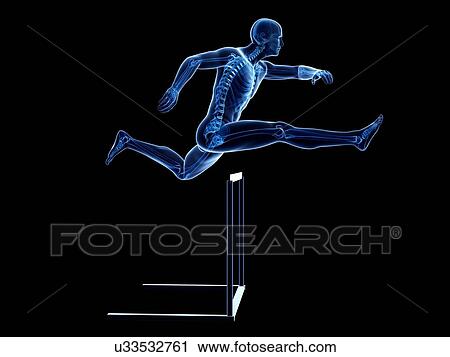 Male skeleton, artwork View Large Illustration Clip Art - Male skeleton, artwork. Fotosearch