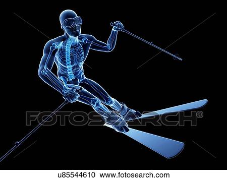 Male skeleton, artwork View Large Illustration Clipart - Male skeleton, artwork. Fotosearch
