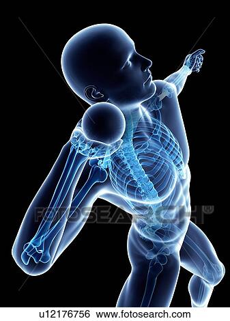 Stock Illustration - Male skeleton, artwork. Fotosearch