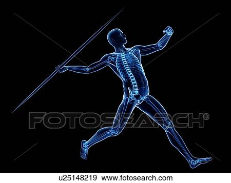 Stock Illustration - Male skeleton, artwork. Fotosearch