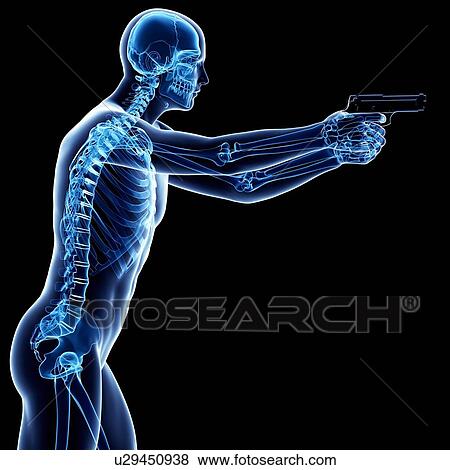 Male skeleton, artwork View Large Illustration Stock Illustration - Male skeleton, artwork. Fotosearch