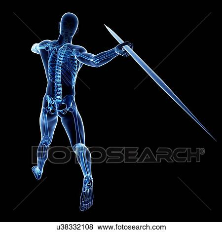 Stock Illustration - Male skeleton, artwork. Fotosearch