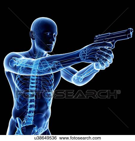Male skeleton, artwork View Large Illustration Stock Illustration - Male skeleton, artwork. Fotosearch