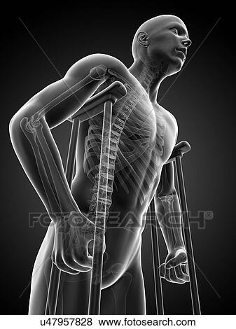 Stock Illustration - Male skeleton, artwork. Fotosearch