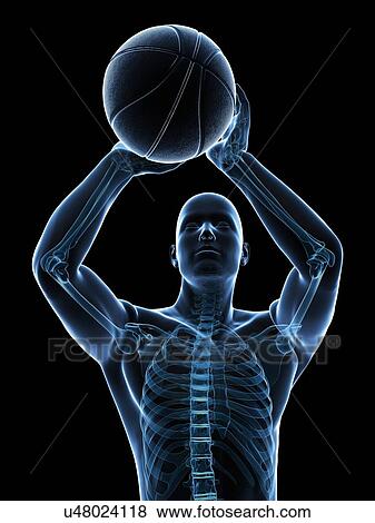 Stock Illustration - Male skeleton, artwork. Fotosearch