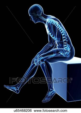 Stock Illustration - Male skeleton, artwork. Fotosearch