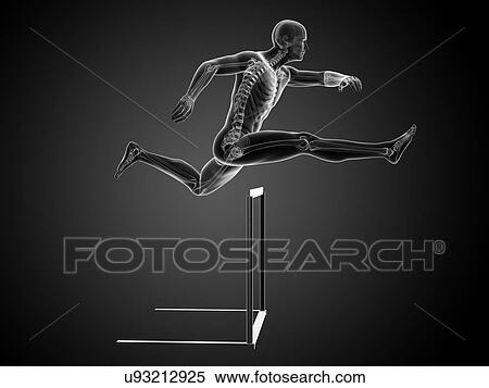 Male skeleton, artwork View Large Illustration Stock Illustration - Male skeleton, artwork. Fotosearch