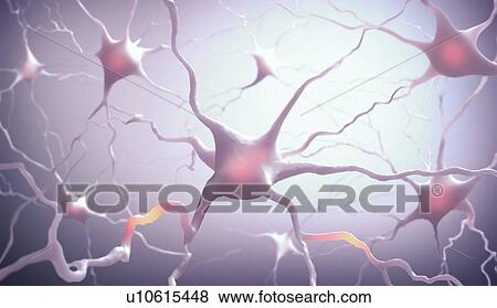 Stock Illustration - Neural network, artwork. Fotosearch