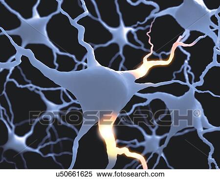 Neural network, artwork View Large Illustration Stock Illustration - Neural network, artwork. Fotosearch