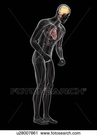 Parkinson's disease, conceptual artwork View Large Illustration Clip Art - Parkinson's disease, conceptual artwork. Fotosearch
