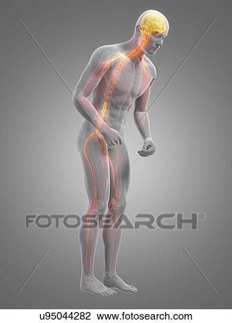 Drawing - Parkinson's disease, conceptual artwork. Fotosearch