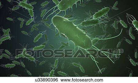 Stock Illustration - Rod-shaped bacteria, artwork. Fotosearch