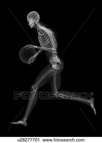 Skeleton playing basketball, artwork View Large Illustration Clip Art - Skeleton playing basketball, artwork. Fotosearch
