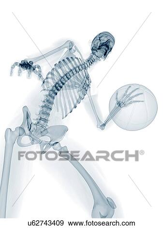 Stock Illustration - Skeleton playing basketball, artwork. Fotosearch