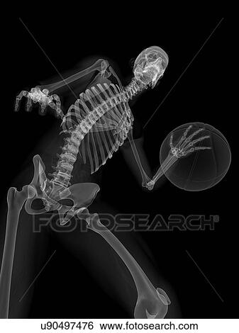 Stock Illustration - Skeleton playing basketball, artwork. Fotosearch