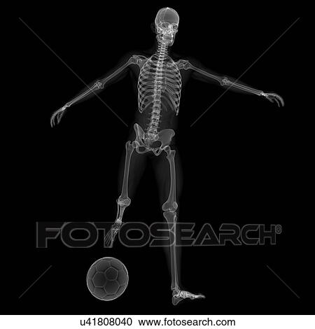 Clipart - Skeleton playing football, artwork. Fotosearch