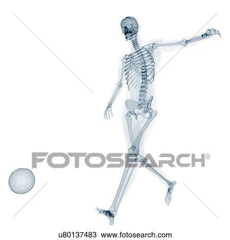 Drawing - Skeleton playing football, artwork. Fotosearch