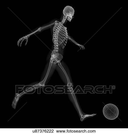 Skeleton playing football, artwork View Large Illustration Drawing - Skeleton playing football, artwork. Fotosearch