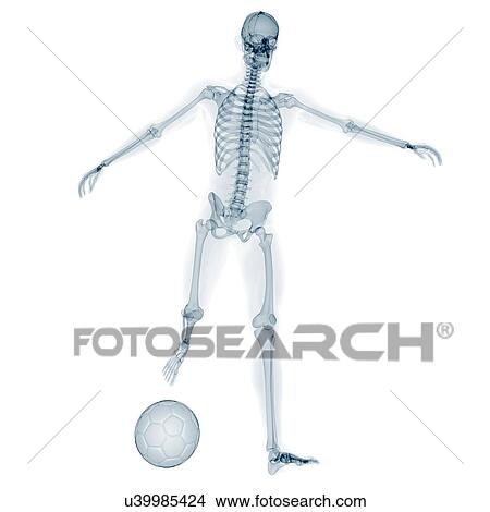 Stock Illustration - Skeleton playing football, artwork. Fotosearch