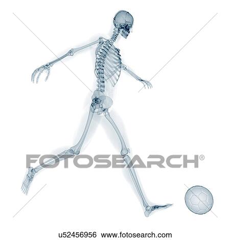 Skeleton playing football, artwork View Large Illustration Stock Illustration - Skeleton playing football, artwork. Fotosearch